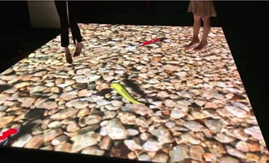 青島活動(dòng)策劃，煙臺(tái)活動(dòng)策劃